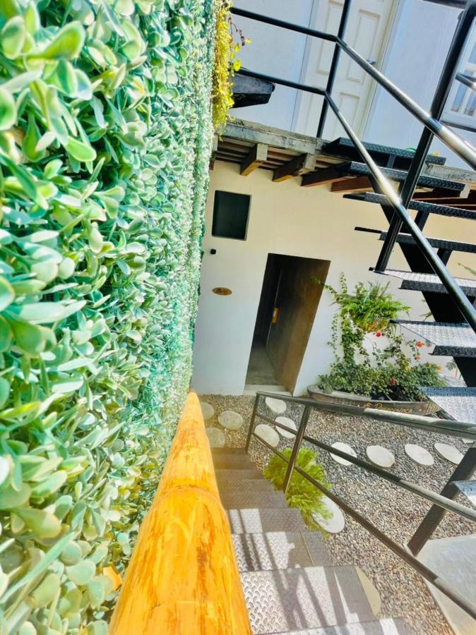 Hostel Musa Paradisiaca Santa Marta  Exterior foto